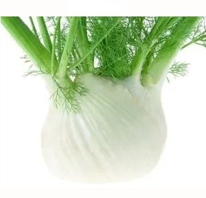 Fennel