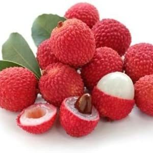 Litchi