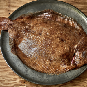 Sole Fish