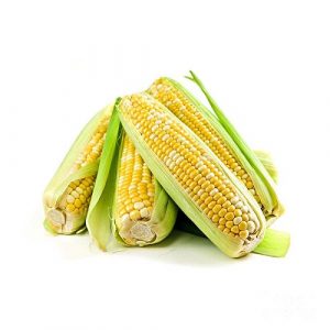 Sweet Corn