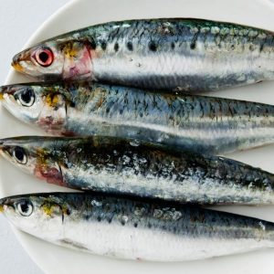 Sardine Fish