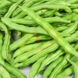 Kentucky Wonder Beans