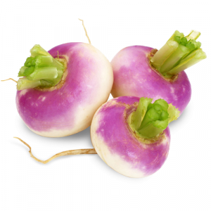 Pink/White/Red Turnips (Brassica rapa)